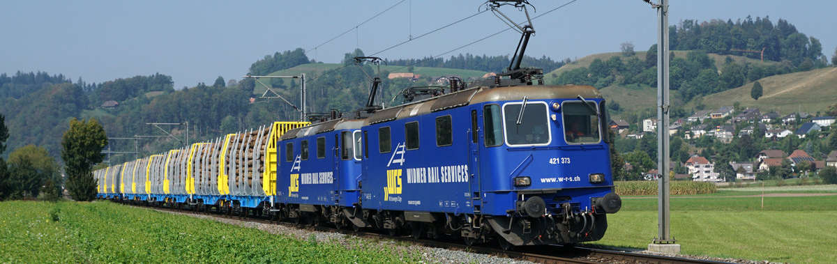 Le train bleu transporte des grumes de bois